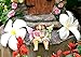 Miniature Fairy Garden Sisters Alice & May (Hand Painted) by Twig & Flower Gifts for Her