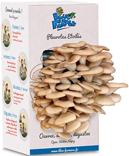 Mushroom Growing Kit - Blue Farmers - Grows in 10 Days - Grey Oyster Mushrooms Grown on Coffee Grounds - Ready to Grow Mushrooms - Family Size for 3-4 People … B078STRM89 (Grey)