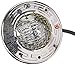 Pentair 77168100 Stainless Steel AquaLight Halogen Quartz Light 120-Volt 250-Watt, 50-Feet Cord