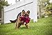 HuggleHounds Knottie Plush Dog Toy - Dog Stuffed Animal Toy, Puppy Toys, Squeaky Dog Toy for Small, Medium & Large Dogs, Durable Plush to Keep Them Busy - Sly Fox, Large