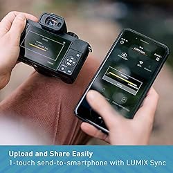 Panasonic LUMIX G100 Mirrorless