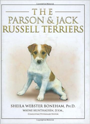 The Parson and Jack Russell Terriers �n�[�h�J�o�[ - 2007/6/12