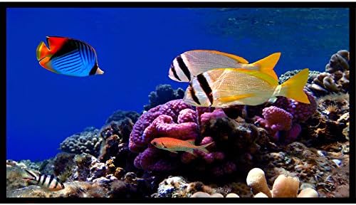 Portable Indoor Outdoor Projector Screen，Foldable Outdoor Movie Simple Screen, (60 84 100) inch, (16:9) Home Theater Projector Screen (100)
