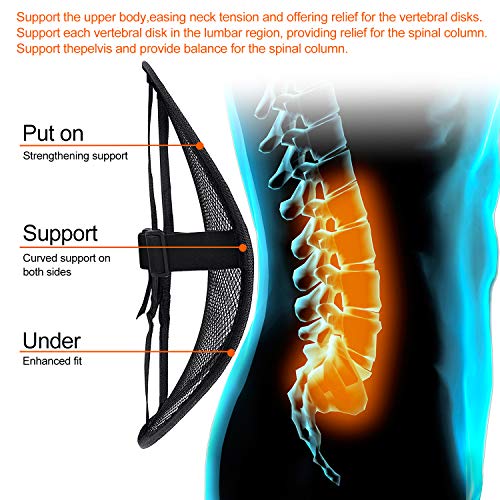 Lumbar Support, Cartop Mesh Back Cushion 2 Pack Lower Back Support, Double Mesh Lumbar Cushion Air Flow Breathable Back Support Cushion - Suitable for Office Chair Home Car (2-Pack)
