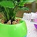 Mkono 3 Pack Self Watering Planter Plastic Flower Pot 5 Inch (Mixed Colors)