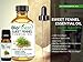 BioFinest Fennel Oil - 100% Pure Fennel Essential Oil - Premium Quality - Therapeutic Grade - Best For Aromatherapy - FREE E-Book (10ml)