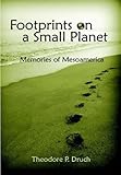 Footprints on a Small Planet by Theodore P. Druch