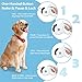 JOEJOY Retractable Dog Leash, One Free Replaceable Leash, 360° Tangle-Free, Anti-Slip Handle, Heavy Duty Pet Running Leash-16ft for Medium Large Big Dogs up to 110lbs, One-Handed Brake, Pause