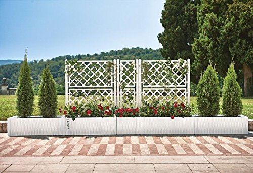 Rankgitter, Spalier mit Pflanzkasten in Rattan-Design aus robustem Kunststoff in Weiß. Maße BxTxH in cm: 43 x 43 x 142… – Bild 5