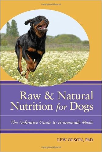 guide to raw feeding dogs