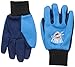 FOCO NBA Colored Palm Glove