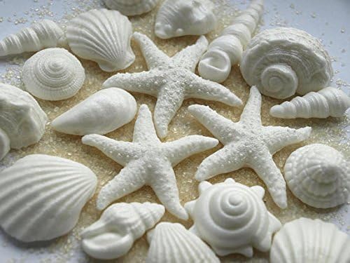 Get Decoraciones de la ducha de la boda de playa HD