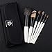 DUcare 6 Pieces Professional Kabuki Brushes For Face and Eye Blending, Contouring, Highlighting & Setting Powder with Case