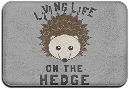Doormats Living On The Hedge Hedgehog Fashion\r\n Non-slip Doormat Coral Fleece Indoor Outdoor 15.7" X 23.6" FRICSTAR