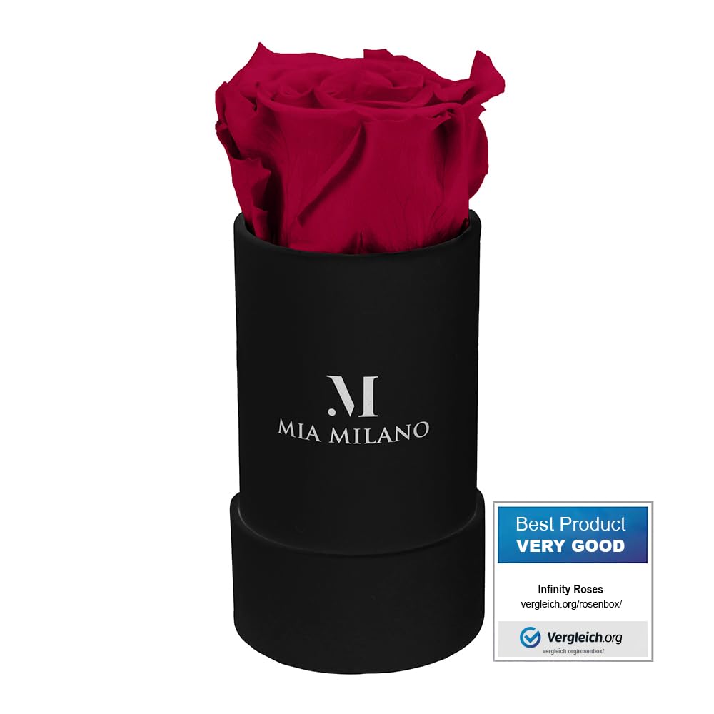 Mia Milano Infinity Roses Gift Set – Black case with real preserved flowers | Valentines decoration, 5 years shelf life, eternal flower gift (Bordeaux S)