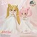 DAL Princess Small Lady (Princess Small Lady) D-157 about 268mm ABS-painted action figure