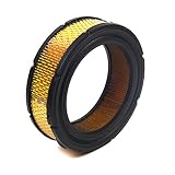 Briggs & Stratton 841856 A/C Cartridge Filter