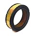Briggs & Stratton 841856 A/C Cartridge Filter primary