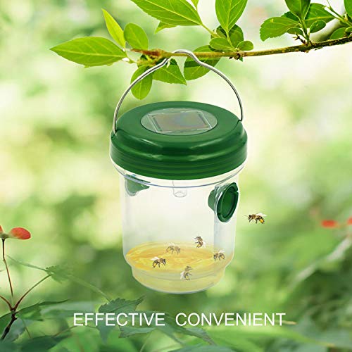 fomei [2019 Upgraded Solar Outdoor Wasp Trap Catcher Killer with Ultraviolet LED Light, Set of 2, Effective and Eco-Friendly Traps for Wasps, Bees, Yellow Jackets, Hornets, Bugs, Flies