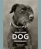 Really Good Dog Photography by 