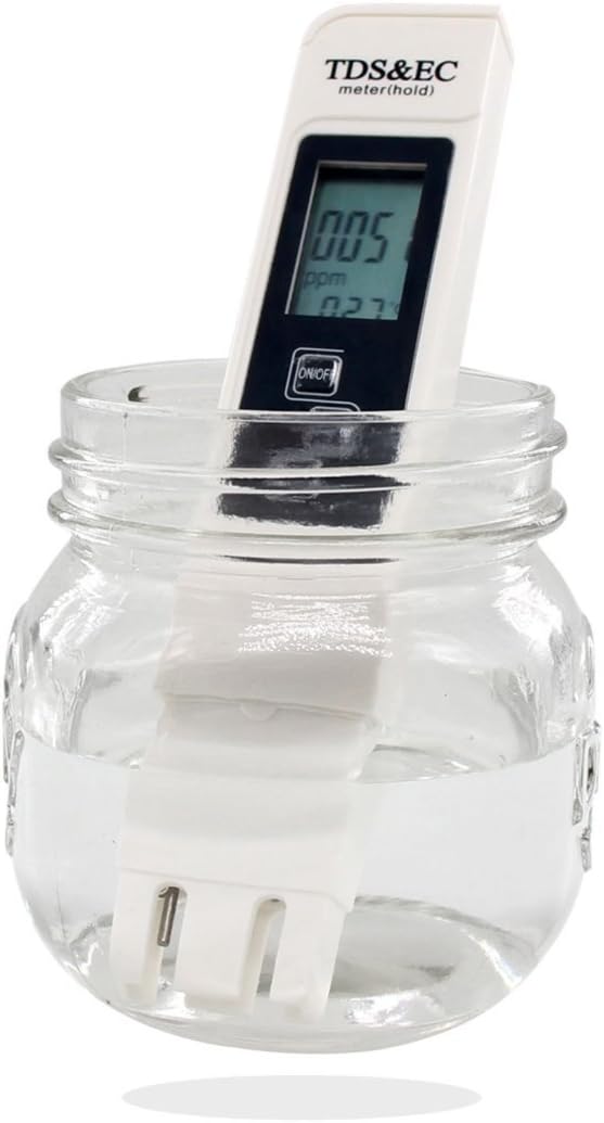 Numero ec enzimas | Enzimas digestivas para cuidar de tu digestión