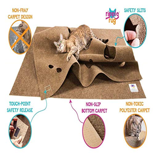 Redvive Top Pet Dog Cat Activity Play Mat Training Mat Cat Toy Bite Mat 120903 cm Training