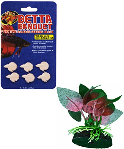 betta banquet
