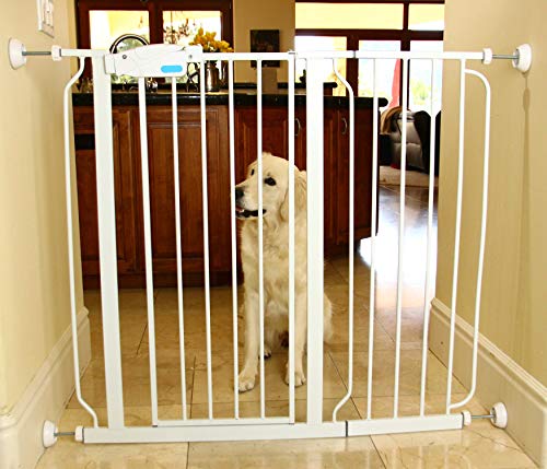 Baby Gate Guru Small Wall Protector 4 Pack - White - Cup Pads to Guard Your Walls from Pressure Mounted Baby Gates, Pet Gates, Safety Gates, Shower Curtain Rods, and More (4 Pack, White)
