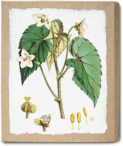 لوحة نباتية فرنسية عتيقة على قماش خيش متمدد بنسبة 100 طباعة خيش جيكلي زخرفة جدارية على شكل أوراق شجر على شكل ورد ديكور منزلي بالزهور Amazon Ae