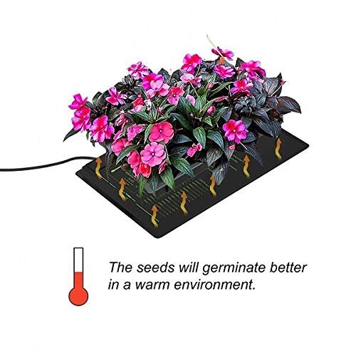CDMALL Digital Heat Mat Thermostat Temperature Controller 68-108 ºF for Seed Germination, Reptiles,Rooting, Fermentation and Brewing - Thumbnail 6