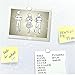 ZJWEI Small Multi-Use Refrigerator Magnets for Refrigerator, Science, Crafts - Tiny Round Disc, Sliver, 12MM x 3MM - Approximately, 30Pcs