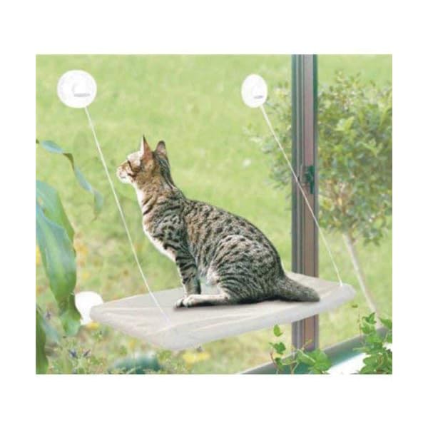 PETPAWJOY Cat Bed, Cat Window Perch Window Seat Suction Cups Space 