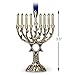 Hallmark Keepsake Jewish Ornament 2018 Year Dated, Menorah Feast of Dedication Metal