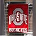 College Flags & Banners Co. Ohio State Buckeyes Garden Flag