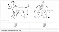 Blueberry Pet Soft & Comfy 3M Reflective Step-in