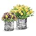 SURREAL Planters VB-4 Vertical Planter, 6-Inch, Birchthumb 2