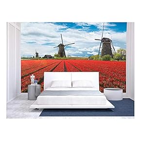 Closeup of Chromed Retro Recording Studio Microphones - Removable Wall Mural | Self-Adhesive Large Wallpaper - 66x96 inches