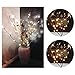 Led Branch Lights,Crytech 30 Inch Battery Powered Decorative Lights Willow Twig Lighted Lamp Floral Lights 20 Bulbs for Home Christmas Wedding Party Garden Decor Decoration Warm White (1 Pack)thumb 2
