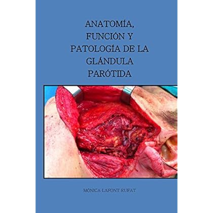 Anatomia, funcion y patologia de la glandula parotida Anatomia, funcion y patologia de la glandula parotida