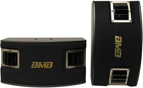 speaker bmb 10 inchi