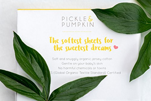 5 Pickle+Pumpkin+Premium+Mattress+Organic