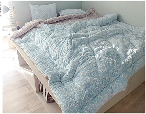 EUN NAM 10mm Microfiber Queen Blanket, 2 color Purple and Blue, Made in Korea (Blue)