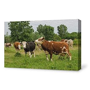 SIGNFORD Canvas Wall Art for Living Room,Bedroom Home...