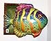 COLORFUL FISH 33