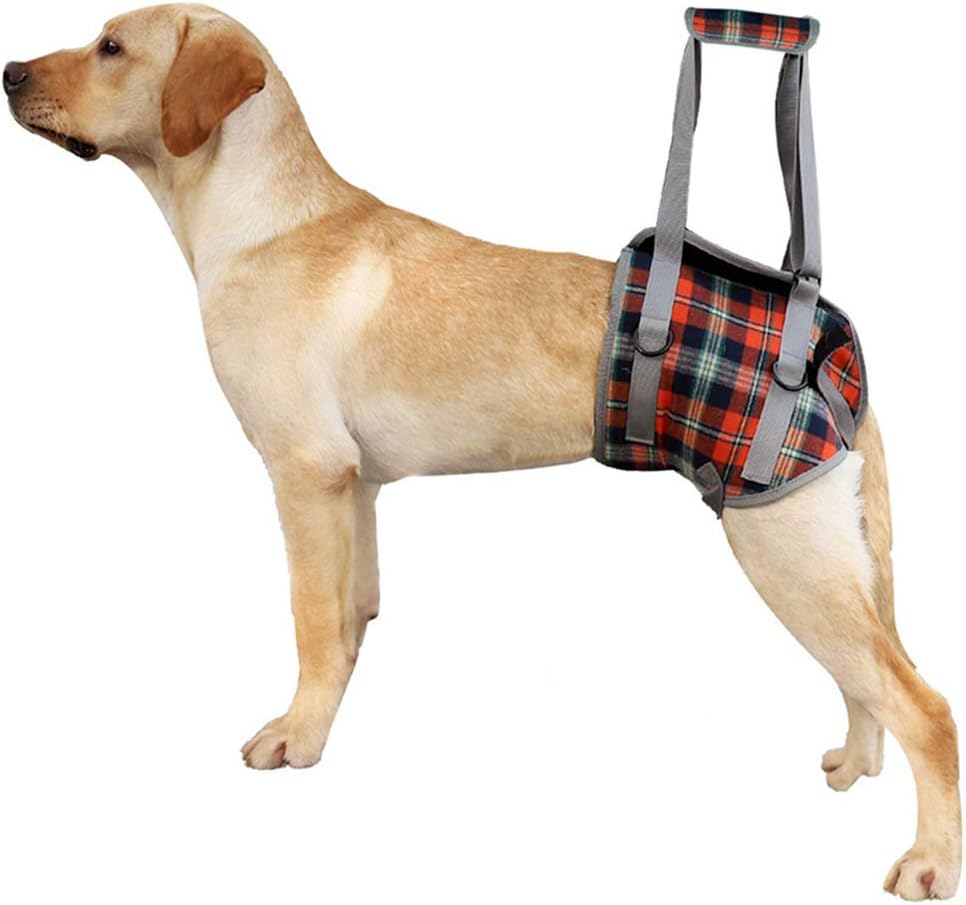 BIGNADO Dog Lifting Harness Hind Legs Support Dog Portable Recovery