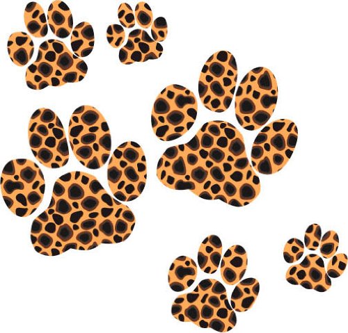 Baby paw animal print 