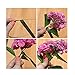 Fomei 2 Packs Floral Arrangement Kit 1/ 2 Inch Floral Tape, 22 Gauge Floral Wire and 100 Pieces Ball Head Pins