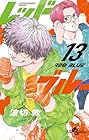 レッドブルー 第13巻