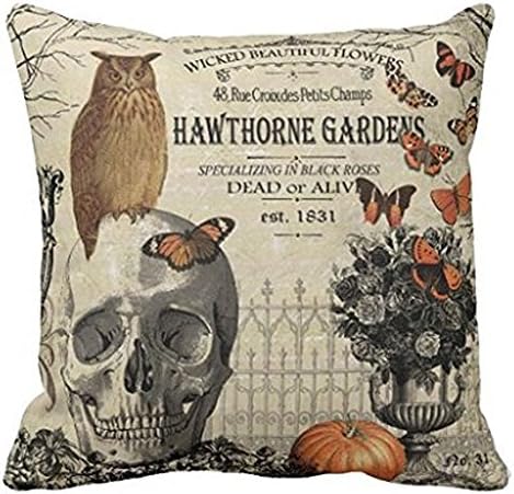 HLPPC Modern Vintage Halloween Owl and Skull Throw Pillow Cover 18 x 18 Inches