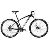 titan sport 29er